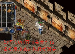 如何击败4万血苍龙?15条实用攻略带你轻松通关 如何击败4万血苍龙?15条实用攻略带你轻松通关