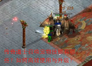 传奇道士召唤宠物技能有哪些?如何高效使用与升级? 传奇道士召唤宠物技能有哪些?如何高效使用与升级?