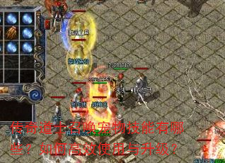 传奇道士召唤宠物技能有哪些?如何高效使用与升级? 传奇道士召唤宠物技能有哪些?如何高效使用与升级?