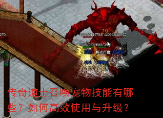 传奇道士召唤宠物技能有哪些?如何高效使用与升级? 传奇道士召唤宠物技能有哪些?如何高效使用与升级?