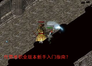 传奇单职业版本新手入门指南? 传奇单职业版本新手入门指南?