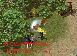 暗黑私服传奇世界生死门如何正确走位通关? 暗黑私服传奇世界生死门如何正确走位通关?