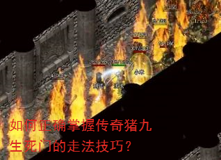 如何正确掌握传奇猪九生死门的走法技巧? 如何正确掌握传奇猪九生死门的走法技巧?