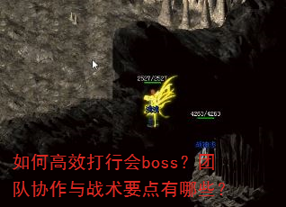��θ�Ч���л�boss���Ŷ�Э����ս��Ҫ������Щ��