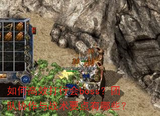 ��θ�Ч���л�boss���Ŷ�Э����ս��Ҫ������Щ��