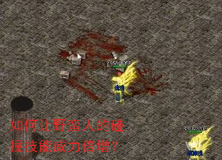 如何让野蛮人的碰撞技能威力倍增? 如何让野蛮人的碰撞技能威力倍增?
