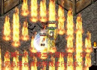 在第一个和第二个图例中,如何选择合适的等级进行训练? 在第一个和第二个图例中,如何选择合适的等级进行训练?