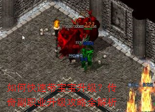 ��ο��ٴ��������������渱ְҵ��������ȫ����