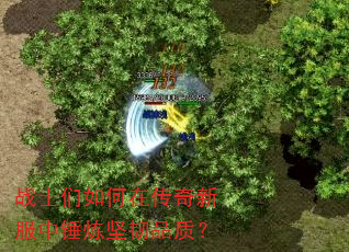 战士们如何在传奇新服中锤炼坚韧品质? 战士们如何在传奇新服中锤炼坚韧品质?