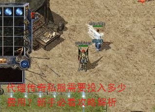 代理传奇私服需要投入多少费用?新手必看攻略解析 代理传奇私服需要投入多少费用?新手必看攻略解析