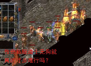 传奇私服道士无狗就真的寸步难行吗? 传奇私服道士无狗就真的寸步难行吗?