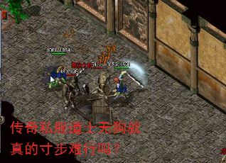 传奇私服道士无狗就真的寸步难行吗? 传奇私服道士无狗就真的寸步难行吗?