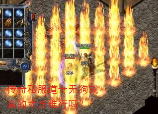 传奇私服道士无狗就真的寸步难行吗? 传奇私服道士无狗就真的寸步难行吗?