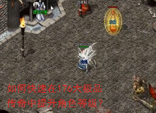 如何快速在176大极品传奇中提升角色等级? 如何快速在176大极品传奇中提升角色等级?
