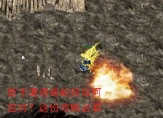 新手遭遇蝎蛇妖如何应对?这份攻略必看 新手遭遇蝎蛇妖如何应对?这份攻略必看