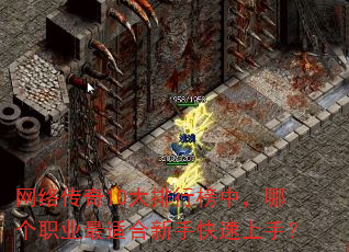 ���紫��10�����а��У��ĸ�ְҵ���ʺ����ֿ������֣�