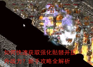 如何快速获取强化骷髅并提升战力?新手攻略全解析 如何快速获取强化骷髅并提升战力?新手攻略全解析