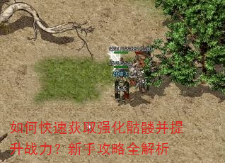 如何快速获取强化骷髅并提升战力?新手攻略全解析 如何快速获取强化骷髅并提升战力?新手攻略全解析