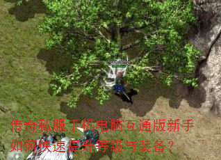 传奇私服手机电脑互通版新手如何快速提升等级与装备? 传奇私服手机电脑互通版新手如何快速提升等级与装备?
