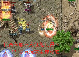 传奇私服不充钱能玩得下去吗?零氪玩家生存攻略 传奇私服不充钱能玩得下去吗?零氪玩家生存攻略