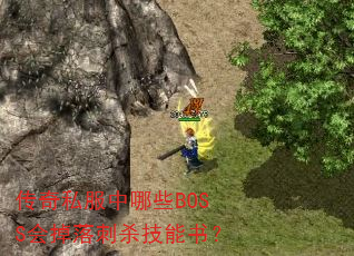传奇私服中哪些BOSS会掉落刺杀技能书? 传奇私服中哪些BOSS会掉落刺杀技能书?