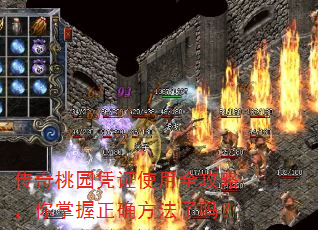 传奇桃园凭证使用全攻略,你掌握正确方法了吗? 传奇桃园凭证使用全攻略,你掌握正确方法了吗?