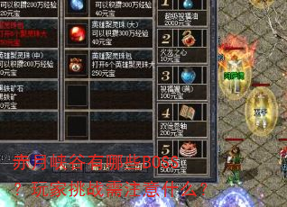 ����Ͽ������ЩBOSS�������ս��ע��ʲô��