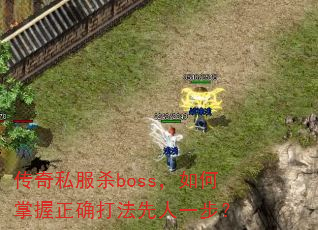 ����˽��ɱboss�����������ȷ������һ����