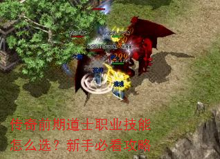 传奇前期道士职业技能怎么选?新手必看攻略 传奇前期道士职业技能怎么选?新手必看攻略