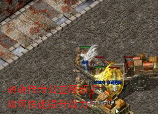 萌萌传奇公益服新手如何快速提升战力? 萌萌传奇公益服新手如何快速提升战力?