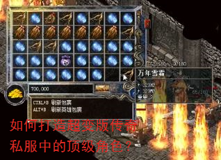 如何打造超变版传奇私服中的顶级角色? 如何打造超变版传奇私服中的顶级角色?