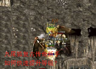 九尾狐复古传奇新手如何快速提升等级? 九尾狐复古传奇新手如何快速提升等级?