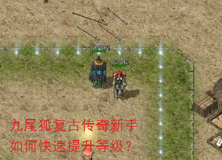 九尾狐复古传奇新手如何快速提升等级? 九尾狐复古传奇新手如何快速提升等级?