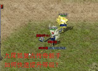 九尾狐复古传奇新手如何快速提升等级? 九尾狐复古传奇新手如何快速提升等级?