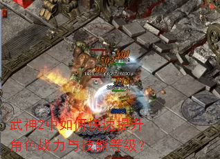 武神2中如何快速提升角色战力与技能等级? 武神2中如何快速提升角色战力与技能等级?