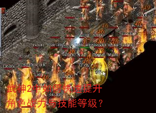 武神2中如何快速提升角色战力与技能等级? 武神2中如何快速提升角色战力与技能等级?