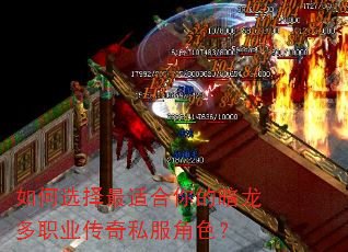 如何选择最适合你的暗龙多职业传奇私服角色? 如何选择最适合你的暗龙多职业传奇私服角色?
