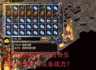 如何快速提升233传奇乐园角色等级与装备战力? 如何快速提升233传奇乐园角色等级与装备战力?