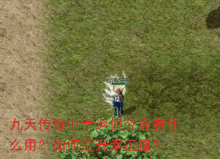 ���촫��������ֵ������ʲô�ã������������ֵ��
