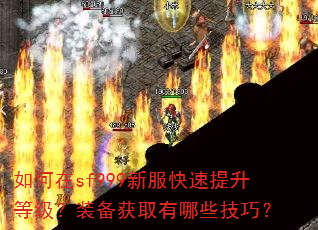 如何在sf999新服快速提升等级?装备获取有哪些技巧? 如何在sf999新服快速提升等级?装备获取有哪些技巧?