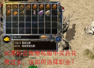 如果你在传奇私服中买药花费过多,该如何选择职业? 如果你在传奇私服中买药花费过多,该如何选择职业?