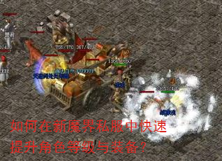 如何在新魔界私服中快速提升角色等级与装备? 如何在新魔界私服中快速提升角色等级与装备?