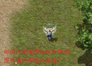 如何在新魔界私服中快速提升角色等级与装备? 如何在新魔界私服中快速提升角色等级与装备?