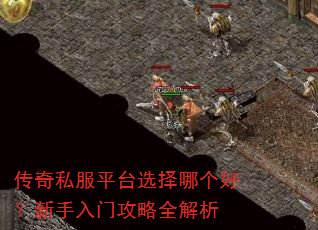 传奇私服平台选择哪个好?新手入门攻略全解析 传奇私服平台选择哪个好?新手入门攻略全解析