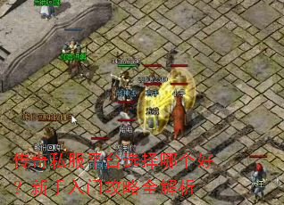 传奇私服平台选择哪个好?新手入门攻略全解析 传奇私服平台选择哪个好?新手入门攻略全解析