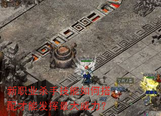 新职业杀手技能如何搭配才能发挥最大威力? 新职业杀手技能如何搭配才能发挥最大威力?