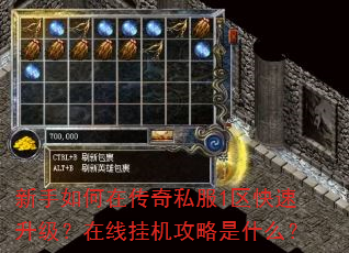 新手如何在传奇私服1区快速升级?在线挂机攻略是什么? 新手如何在传奇私服1区快速升级?在线挂机攻略是什么?