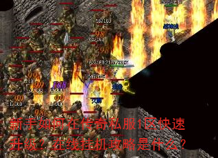 新手如何在传奇私服1区快速升级?在线挂机攻略是什么? 新手如何在传奇私服1区快速升级?在线挂机攻略是什么?