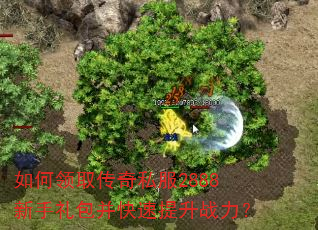 如何领取传奇私服2888新手礼包并快速提升战力? 如何领取传奇私服2888新手礼包并快速提升战力?