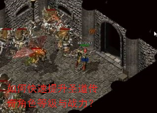 如何快速提升圣道传奇角色等级与战力? 如何快速提升圣道传奇角色等级与战力?